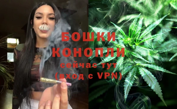 ПСИЛОЦИБИНОВЫЕ ГРИБЫ Балабаново